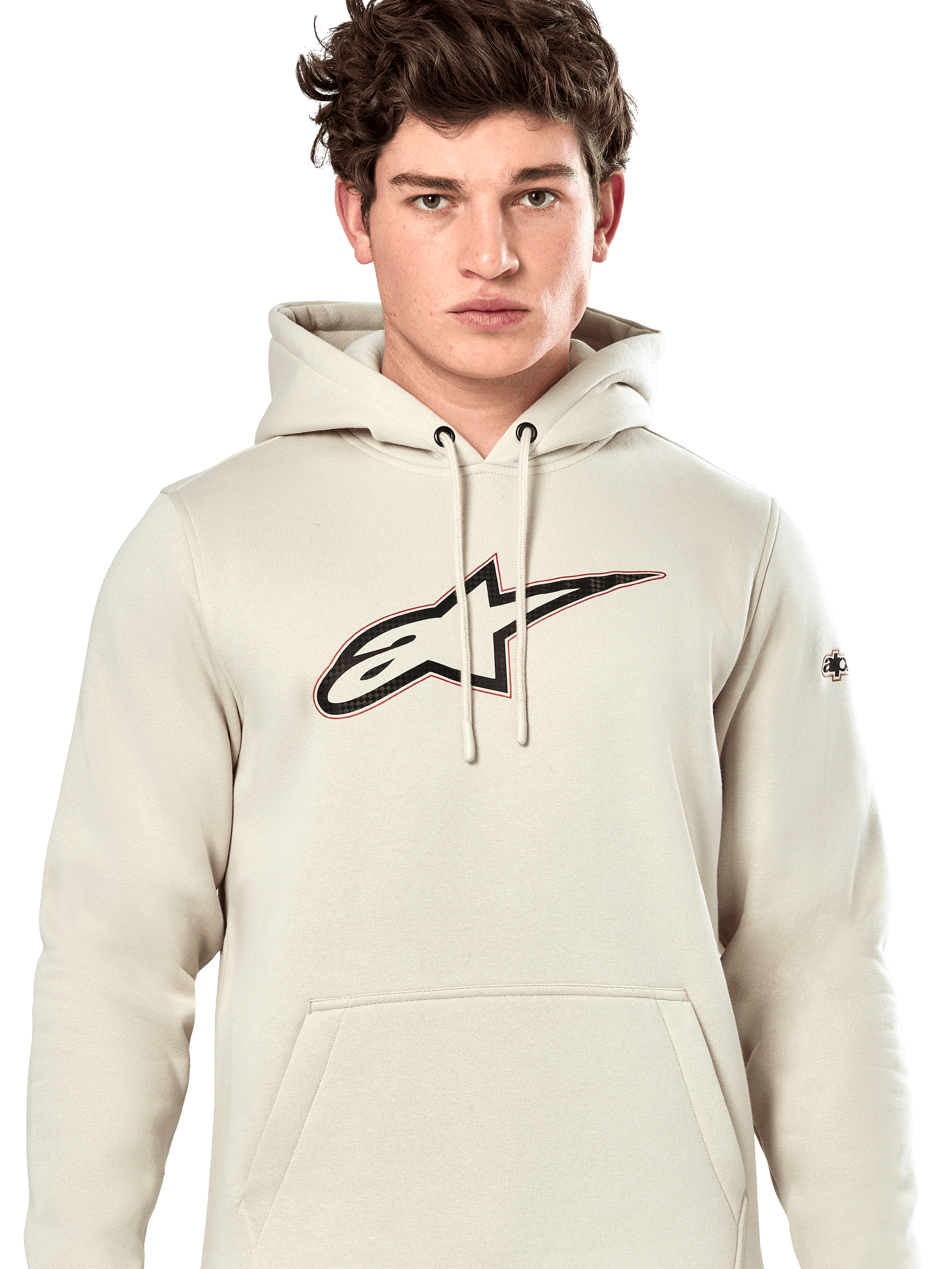 Sweat À Capuche Insignia