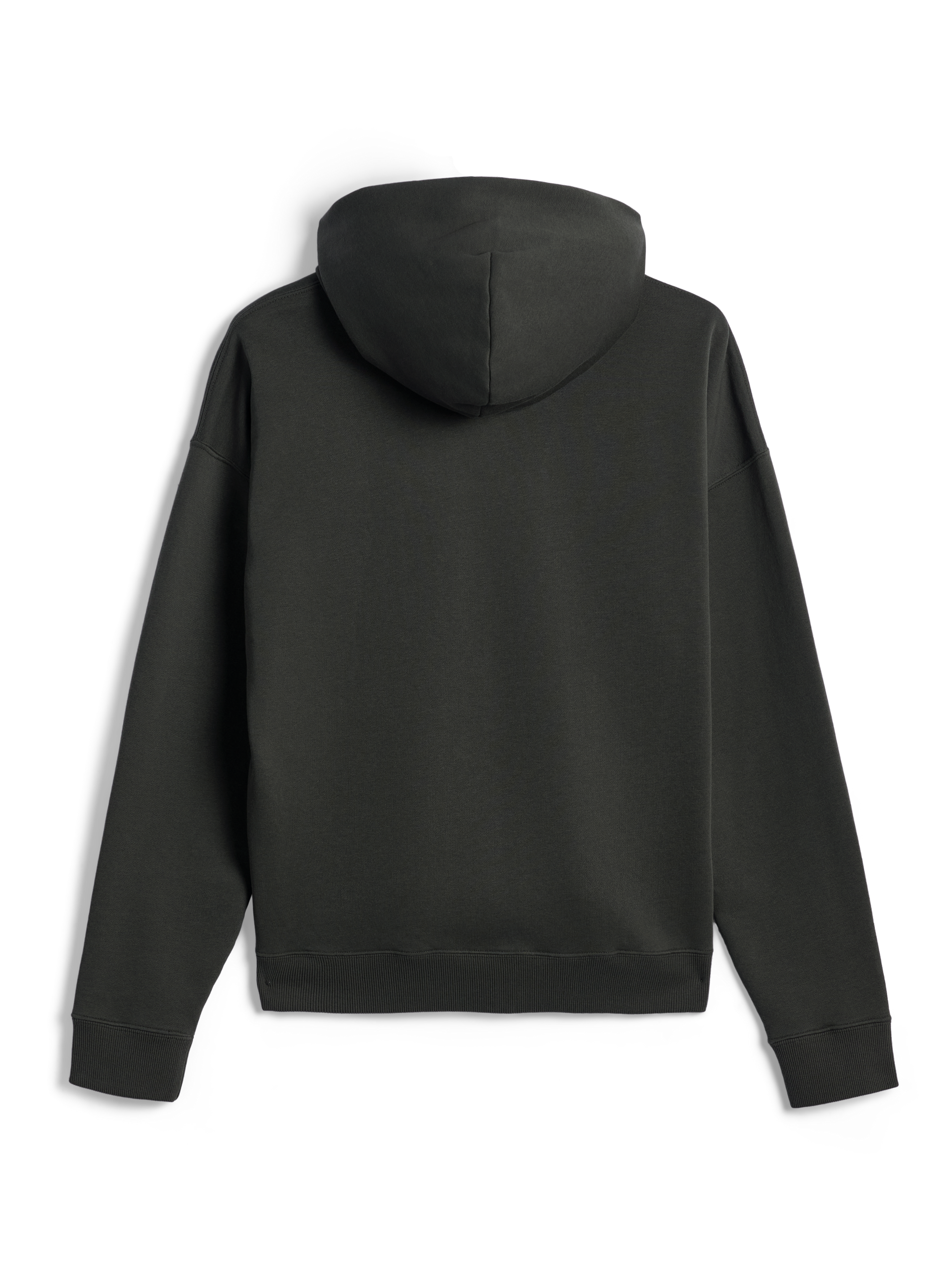Sweat À Capuche Zippé Essentials Ageless