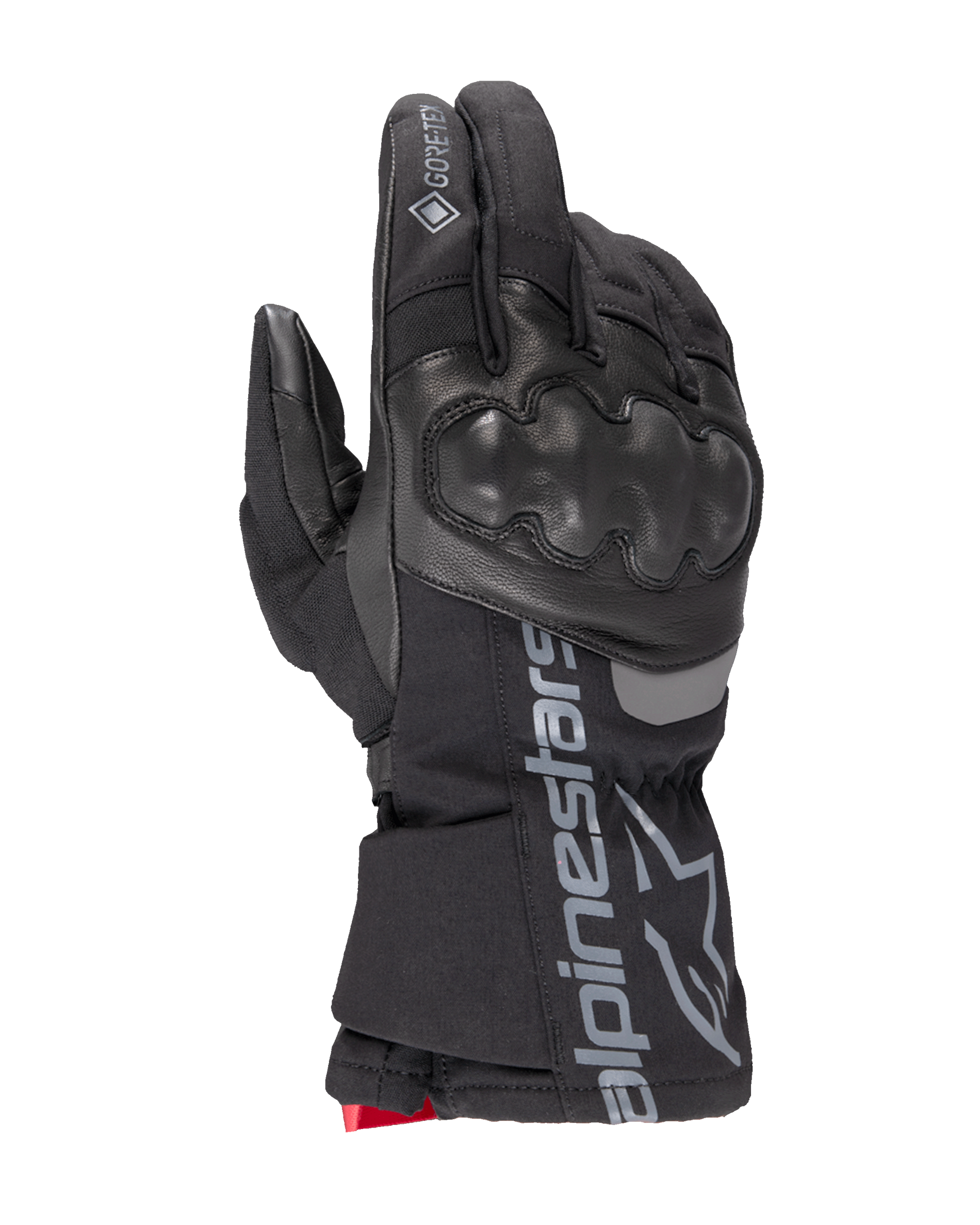Gants Thermiques GORE-TEX WT-4