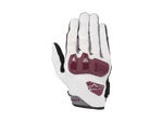 Gants Chrome