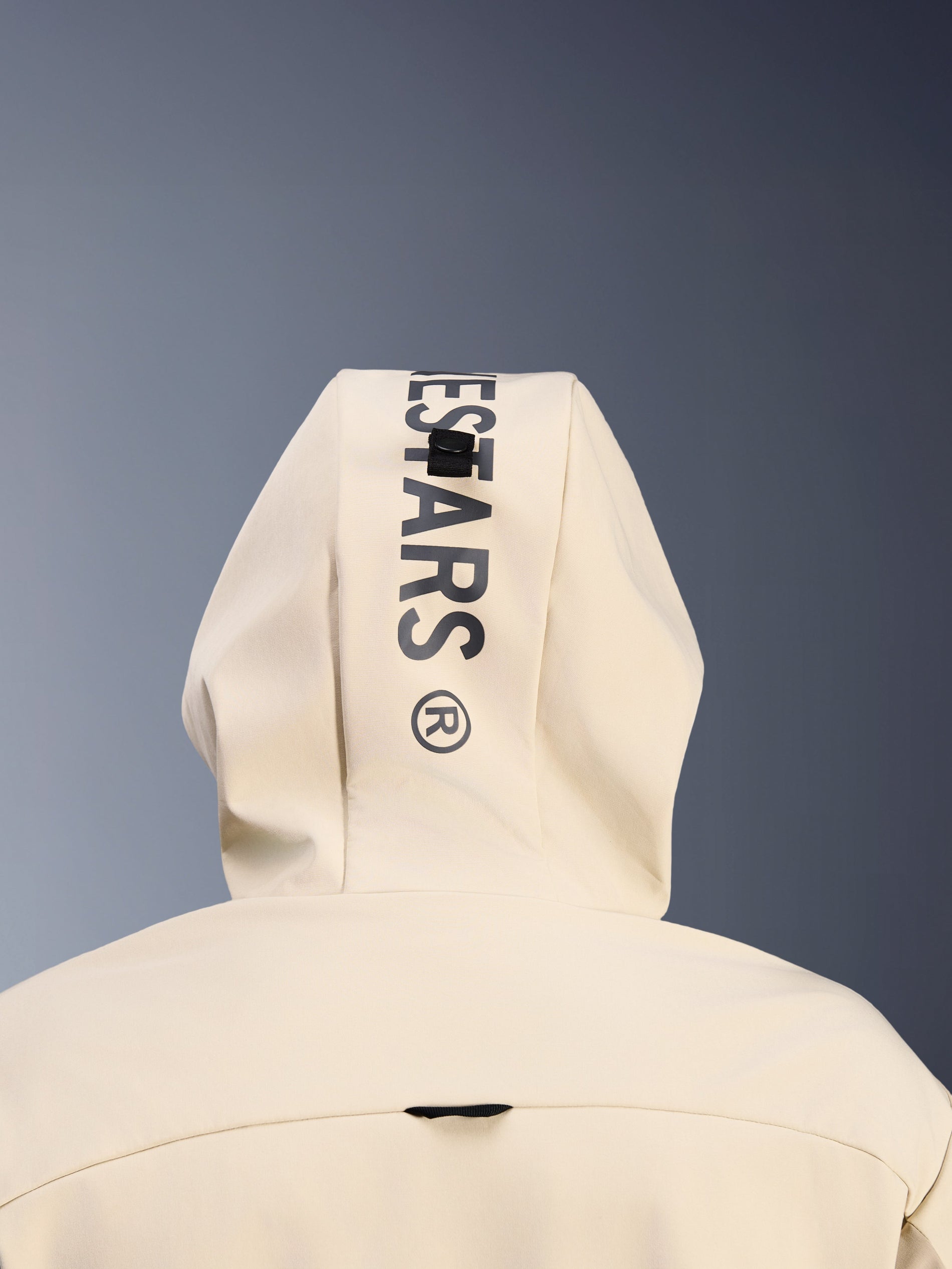 Sweat À Capuche Tech Radium